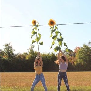 Meet your Posher, Rose